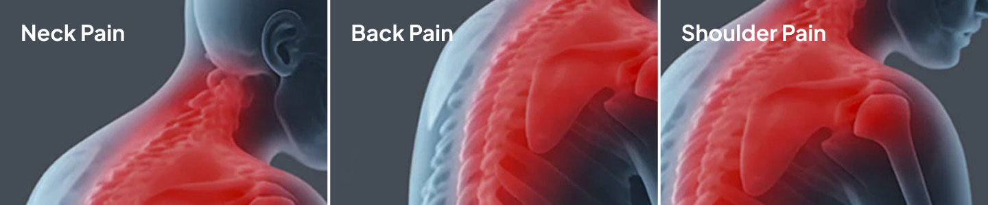 Illustrations of neck, back, and shoulder pain with red highlights on a gray background.